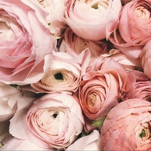 Meet your Posher, Elsie